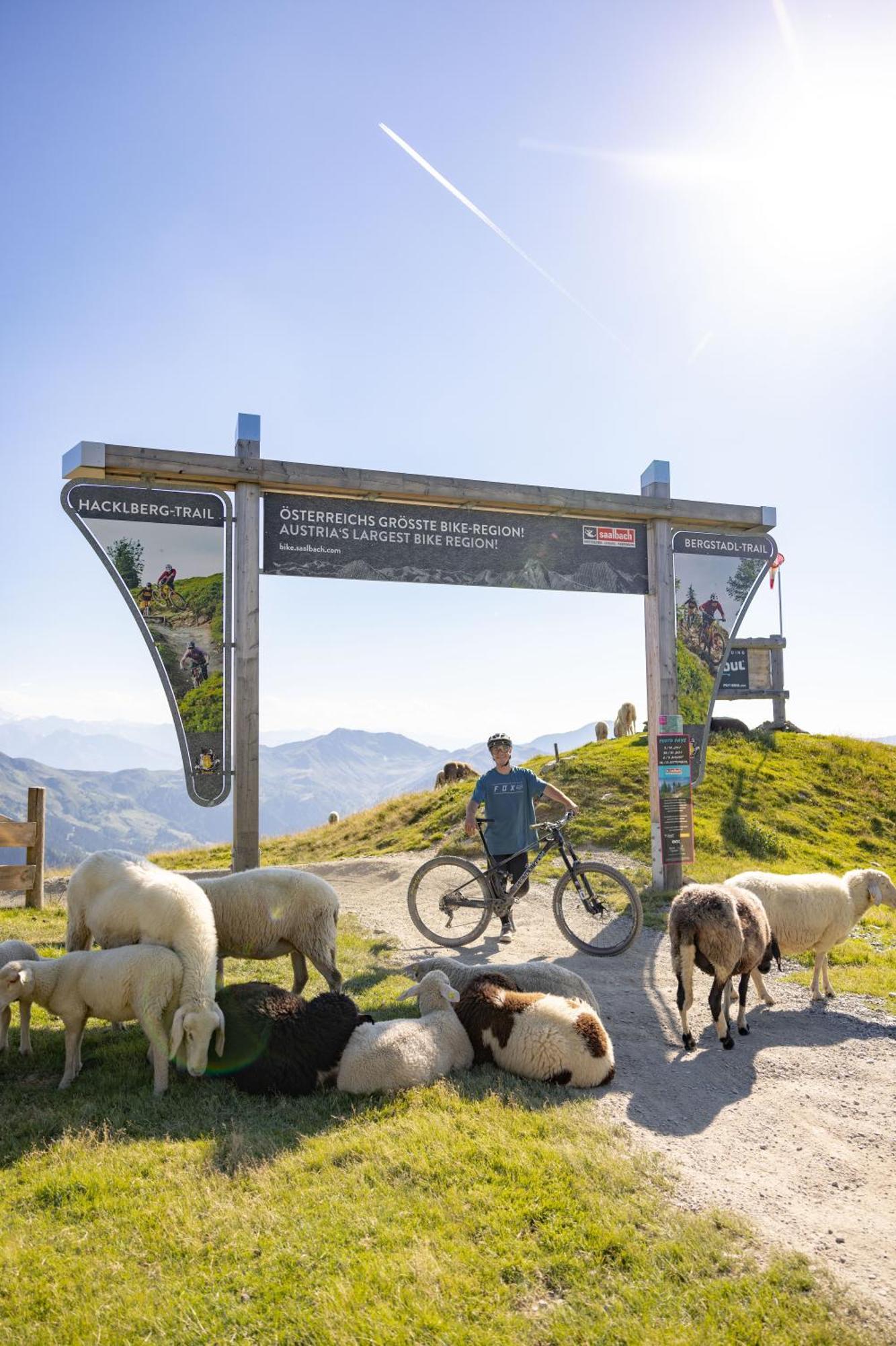 Landhaus Saalbach - Joker Card Included In Summer Bagian luar foto